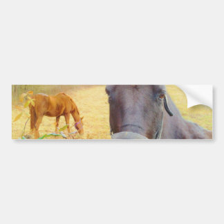 Chocoladebruin paard bumpersticker