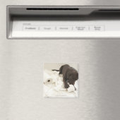Chocoladebruine labrador. magneet (Insitu (Vaatwasser))
