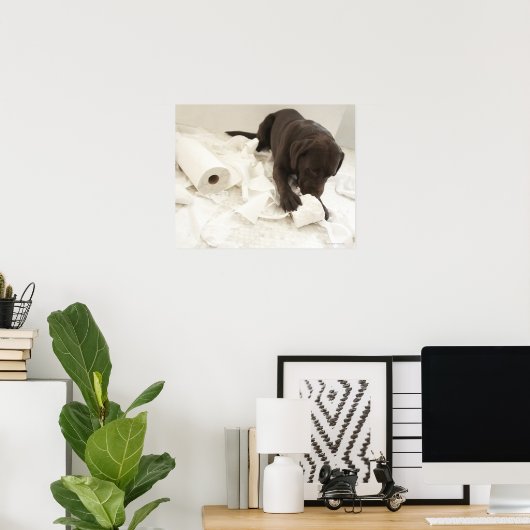 Chocoladebruine labrador. poster (Thuiskantoor)