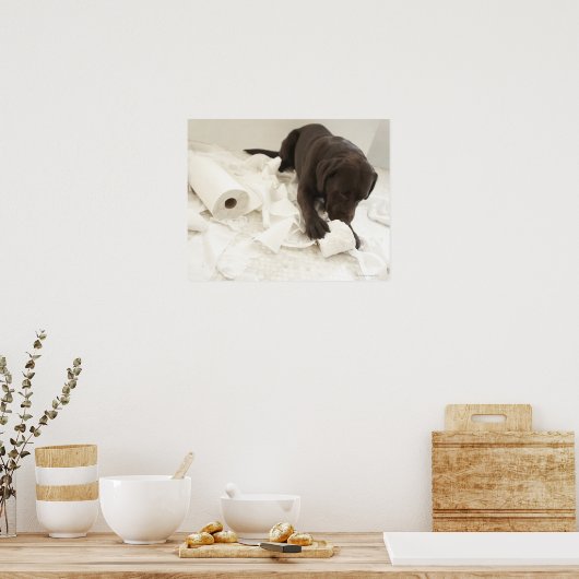 Chocoladebruine labrador. poster (Keuken)