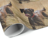 Chocoladebruine Labrador Retriever Cadeaupapier (Rol Hoek)