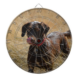 Chocoladebruine Labrador Retriever Dartbord