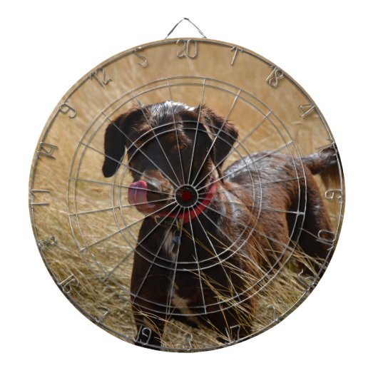 Chocoladebruine Labrador Retriever Dartbord (Voorkant)
