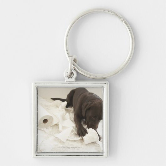 Chocoladebruine labrador. sleutelhanger (Voorkant)