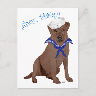 Chocoladebruine Labradors Retriever Briefkaart