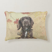 Chocoladecockerspanielpuppy Accent Kussen (Voorkant)