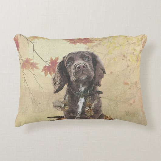Chocoladecockerspanielpuppy Accent Kussen (Voorkant)