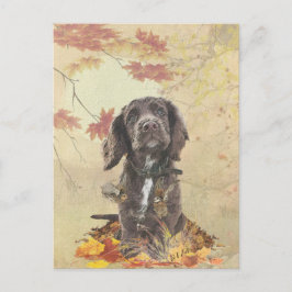 Chocoladecockerspanielpuppy Briefkaart