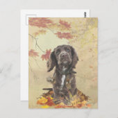 Chocoladecockerspanielpuppy Briefkaart (Voorkant / Achterkant)
