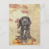 Chocoladecockerspanielpuppy Briefkaart (Voorkant)