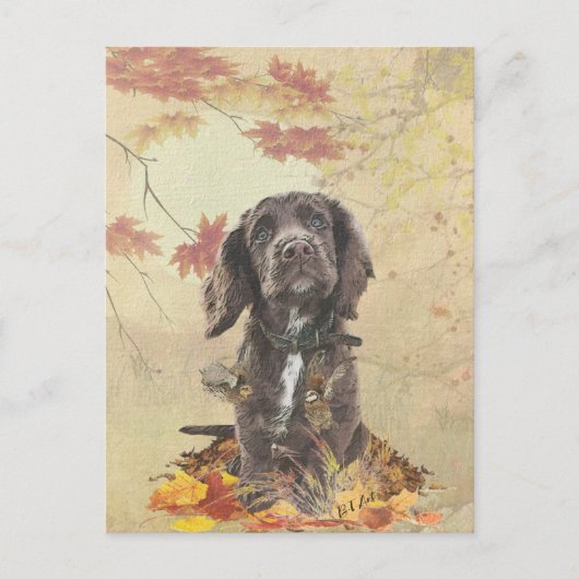 Chocoladecockerspanielpuppy Briefkaart (Voorkant)