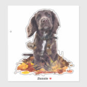 Chocoladecockerspanielpuppy Sticker (Vel)