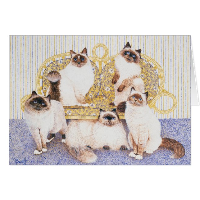 Chocoladekreams (Voorkant Horizontaal)