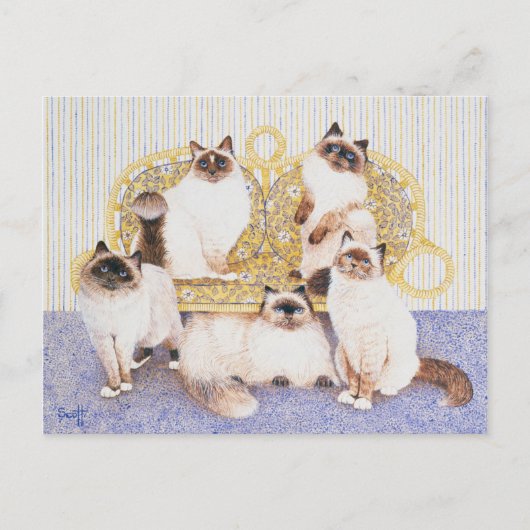 Chocoladekreams Briefkaart (Voorkant)