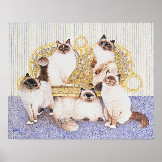 Chocoladekreams Poster (Voorkant)