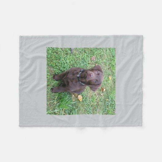 chocoladelab pup.png fleece deken (Voorkant (Horizontaal))