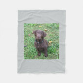 chocoladelab pup.png fleece deken (Voorkant)