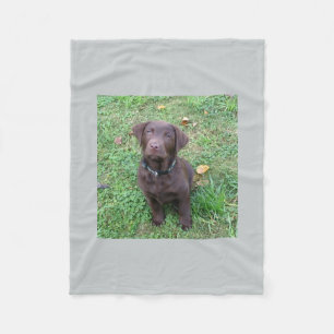 chocoladelab pup.png fleece deken