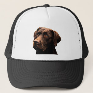 chocoladelab trucker pet