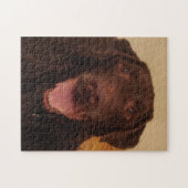 chocoladelabpuzzel legpuzzel (Horizontaal)