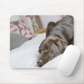 Chocoladelabrador die op bed slapen muismat (Met muis)