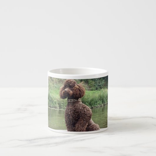 chocoladepoel , zittend .png espresso kop (Voorkant)