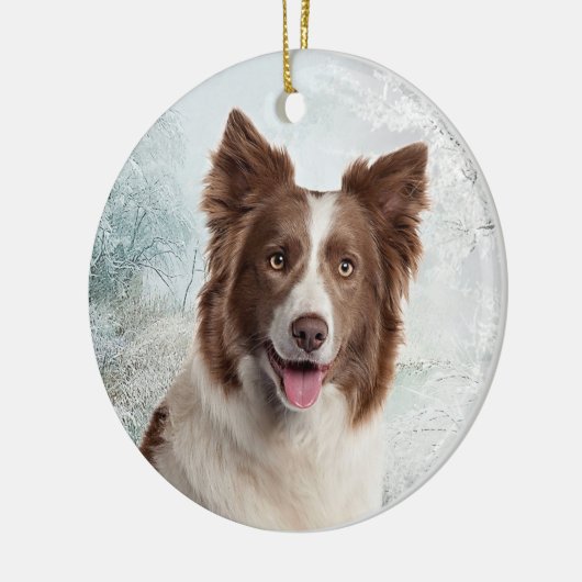 Chocolate Border Collie Ornament (Links)