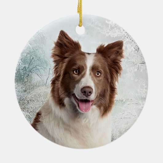 Chocolate Border Collie Ornament (Achterkant)