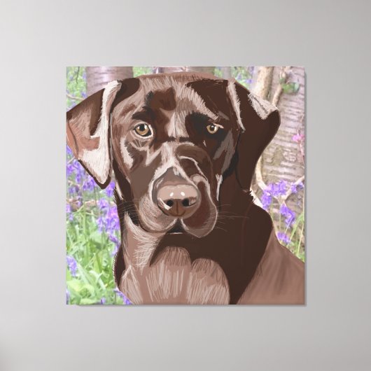 Chocolate Brown Labrador in een Bluebell Wood Canvas Afdruk (Voorkant)