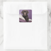 Chocolate Brown Labrador Retriever Dog Sticker (Tas)