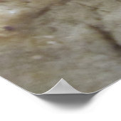 Chocolate Chip Cookies Poster (Hoek)