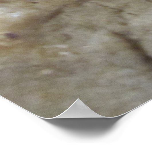 Chocolate Chip Cookies Poster (Hoek)