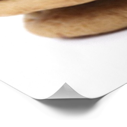 Chocolate Chip Cookies Poster Print (Hoek)