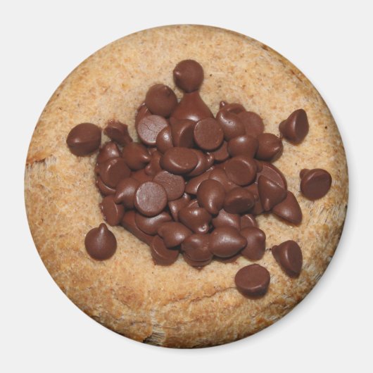 Chocolate Chip Kolache magnet (Voorkant)