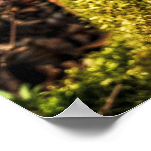 Chocolate Corona Easter Bunny Poster (Hoek)