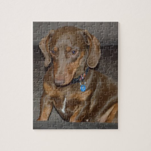 Chocolate Dachshund Legpuzzel (Verticaal)