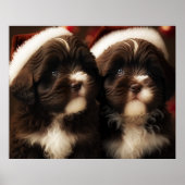 Chocolate HavaHug Havanese kerstpuppy Puzzle Poster (Voorkant)