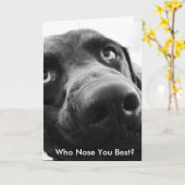 Chocolate Lab Care & Concern-Wenskaart Kaart (Gele Bloem)