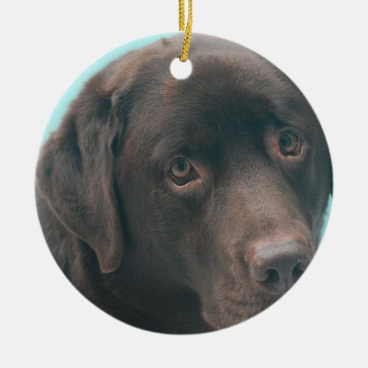 Chocolate Lab Dog Ornaments Keramisch Ornament (Voorkant)