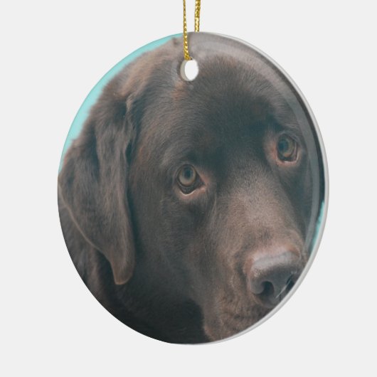 Chocolate Lab Dog Ornaments Keramisch Ornament (Links)