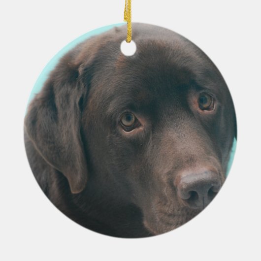 Chocolate Lab Dog Ornaments Keramisch Ornament (Achterkant)