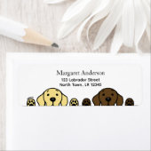 Chocolate Lab en Yellow Lab kijken Etiket (Insitu)