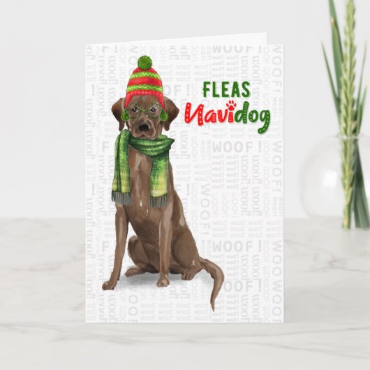 Chocolate Lab Funny Fleas Navidog Kerstmis Feestdagen Kaart (Voorkant)