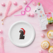 Chocolate Lab Hondenportret Kerstman Hoed Schattig Papieren Bordje (Feest)
