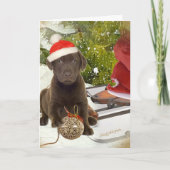 Chocolate Lab houdt van Kaarten (Voorkant)