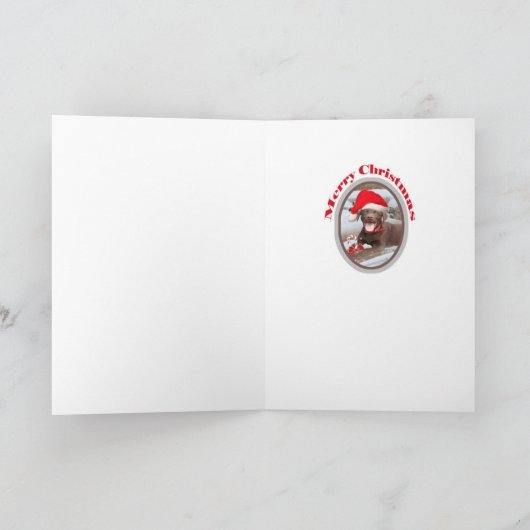 Chocolate Lab houdt van Kaarten (Binnen)