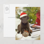Chocolate Lab houdt van Kaarten Feestdagenkaart (Voorkant / Achterkant)