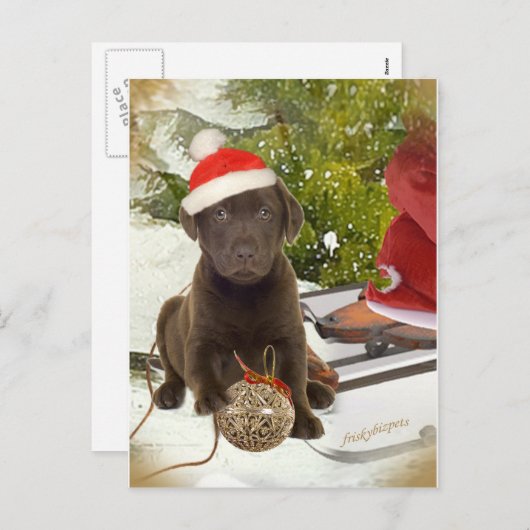 Chocolate Lab houdt van Kaarten Feestdagenkaart (Voorkant / Achterkant)