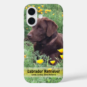 Chocolate Lab in Californië Klaproos Patch iPhone 16 Hoesje
