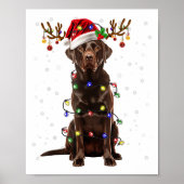 Chocolate Lab Labrador Christmas Tree Light Pajama Poster (Voorkant)